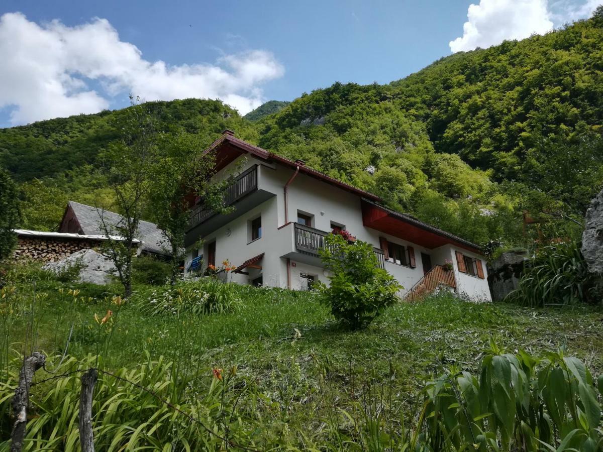 Apartma Ana Ida Srpenica المظهر الخارجي الصورة