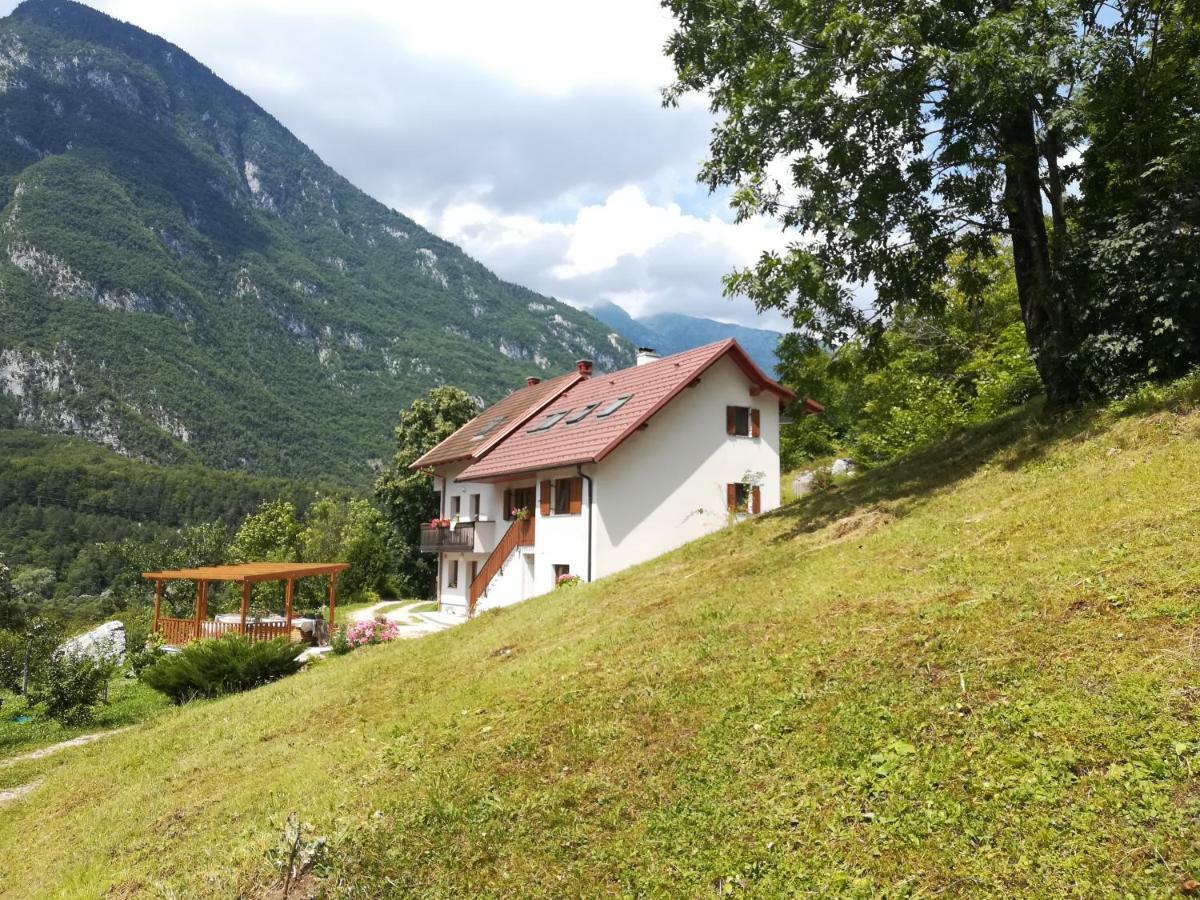 Apartma Ana Ida Srpenica المظهر الخارجي الصورة